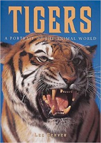 Image of Tigers: A Portrait of The Animal World