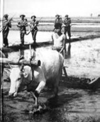 Image of War World II: China-Burma-India